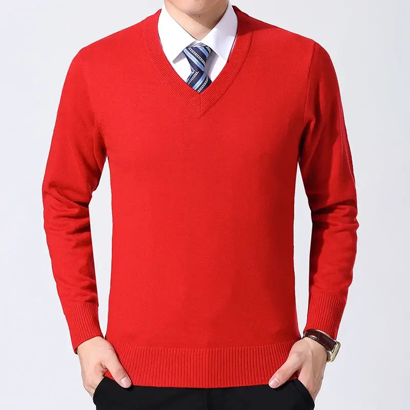 Men's Executive Sweater Vizzani